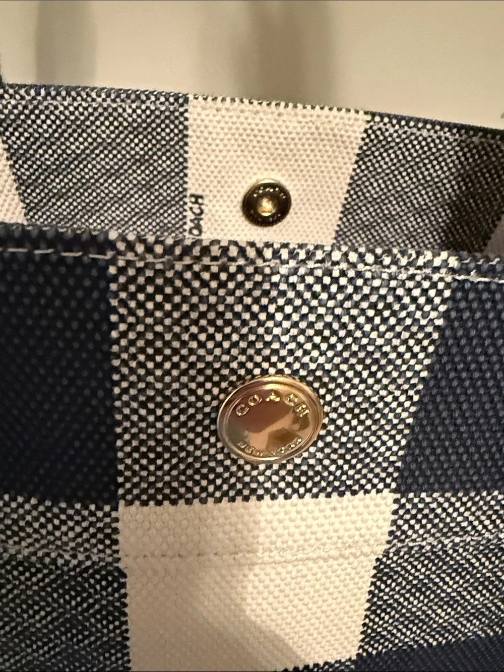 Coach Cream and Blue Buffalo Check Canvas Tote with Long Straps